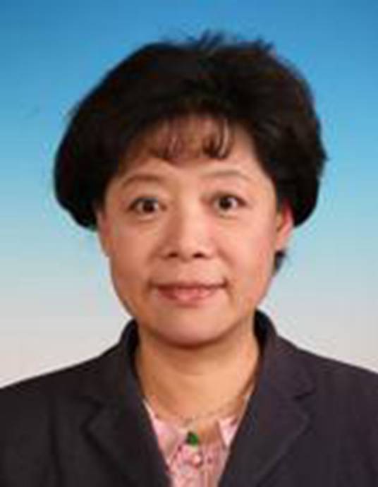陈蓓（北京市人民政府副秘书长，北京市第十四届政协委员）