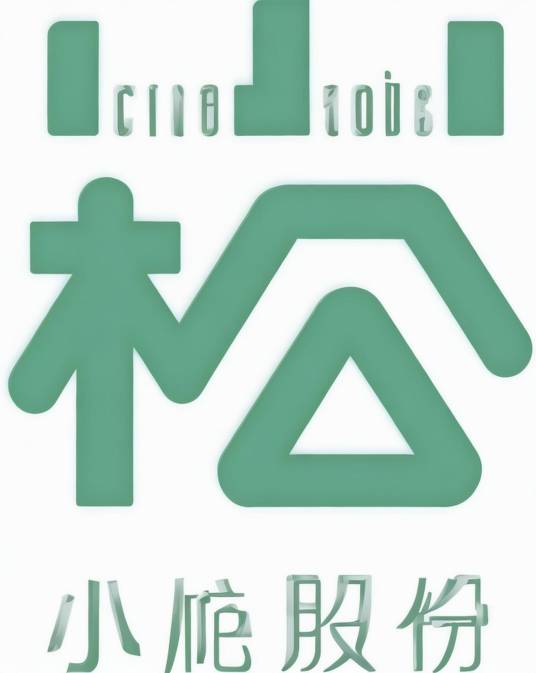 广东小崧科技股份有限公司