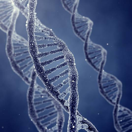 遗传学三大基本定律