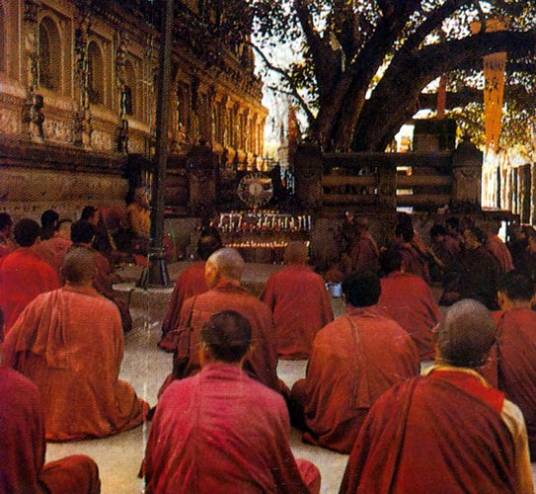 诸法无我（佛教名词）