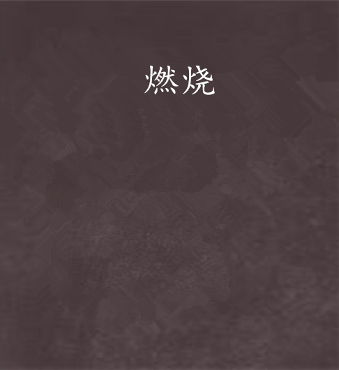 燃烧（天空创作的网络小说）