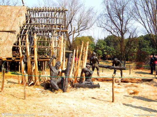 中国文化史(历史概念)