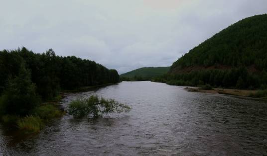 金河（额尔古纳河水系激流河一级支流）