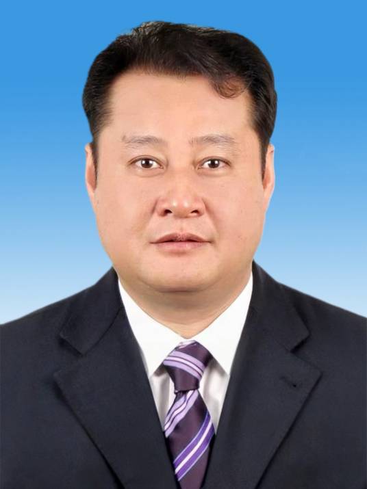 王庆武(安徽省引江济淮集团有限公司党委书记)