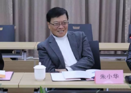 朱小华（原中国人民银行副行长）