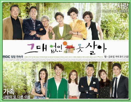 没有你活不下去(韩国2012年由崔日燮执导的电视剧)