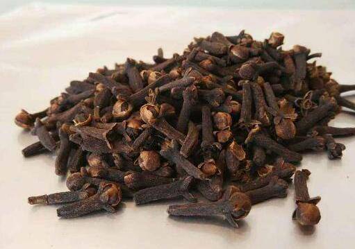 母丁香（桃金娘科植物）