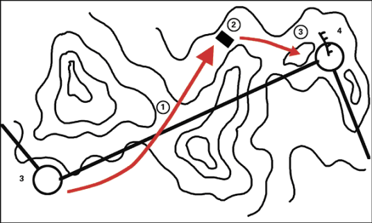 定向运动(智力型体育运动)