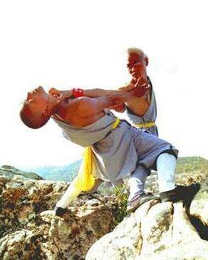 少林龙爪手（金庸小说《倚天屠龙记》武功）