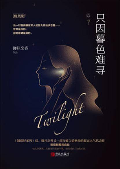 只因暮色难寻（2016年青岛出版社出版的图书）