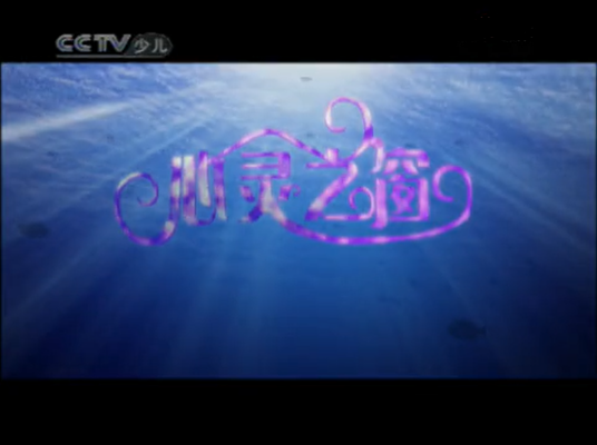 心灵之窗（柳州市委宣传部、柳州市蓝海科技有限公司联合出品的电视动画片）