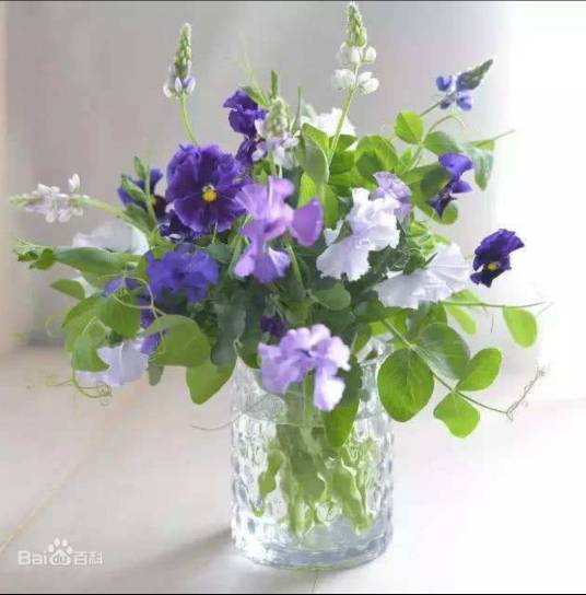 插花(创作花型造型艺术)