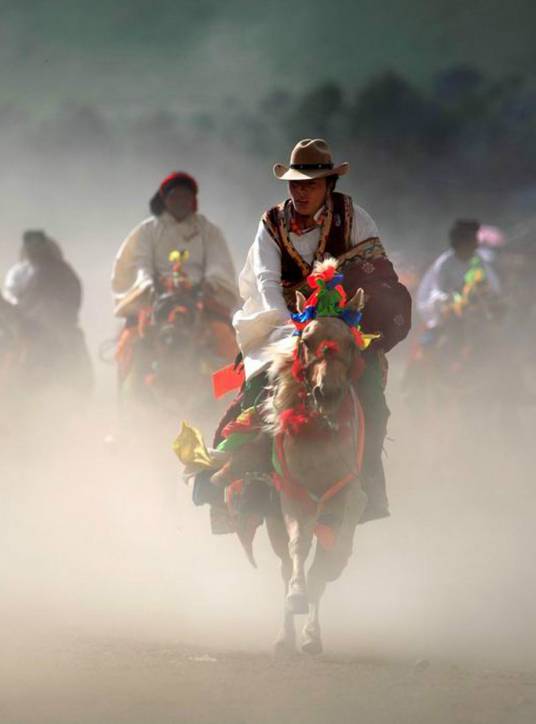 赛马会(赛马表演)