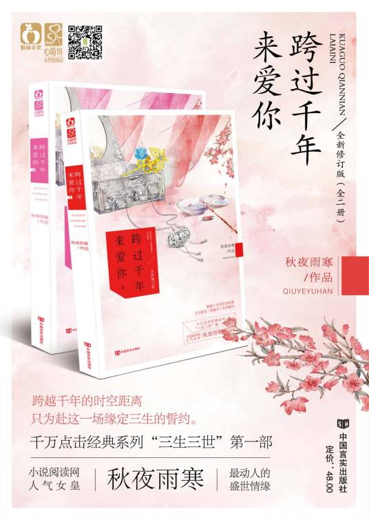 跨过千年来爱你(2009年沈阳出版社出版的图书)