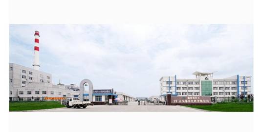 山东联盟化工股份有限公司