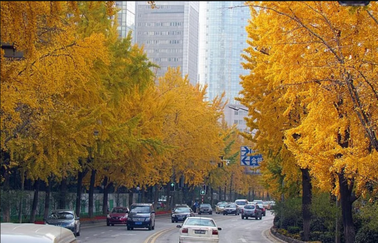 北京西路(中国江苏省南京市鼓楼区境内道路)