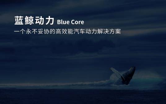 蓝鲸动力