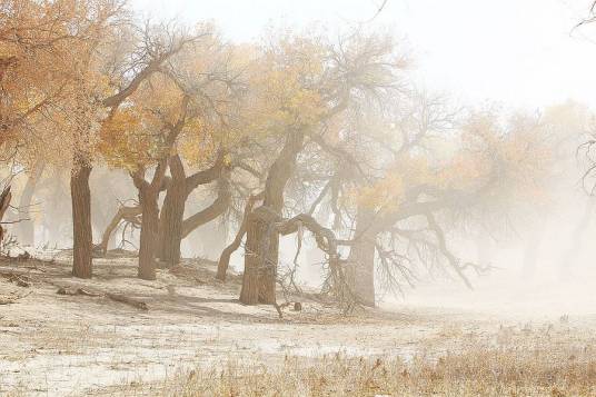 风沙（汉语词汇）