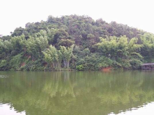 天鹿湖森林公园