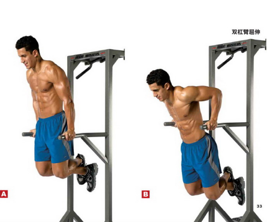 双杠臂屈伸
