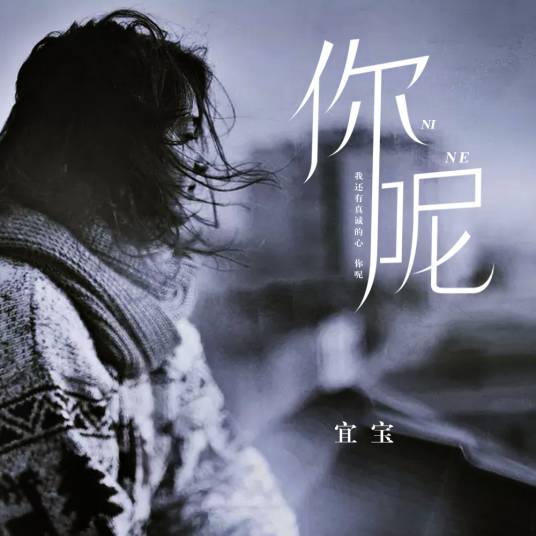 你呢（宜宝演唱歌曲）