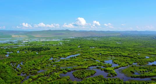 额尔古纳湿地