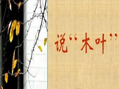 说“木叶”