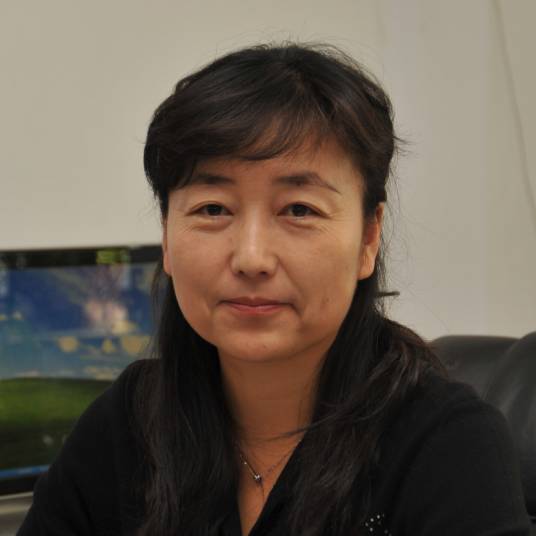 刘冰冰(吉林大学超硬材料国家重点实验室主任,九三学社吉林省委副主委)