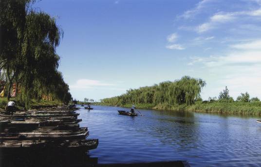 马踏湖(山东省桓台县境内湖泊)