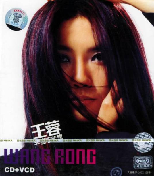非想非非想(王蓉2003年音乐专辑)