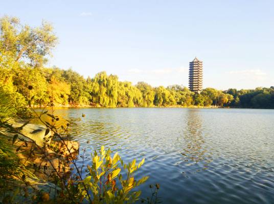 未名湖（北京大学未名湖）