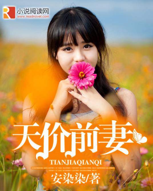 天价前妻（安染染小说）