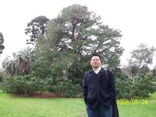 杨新华(华中科技大学教授、博士生导师)