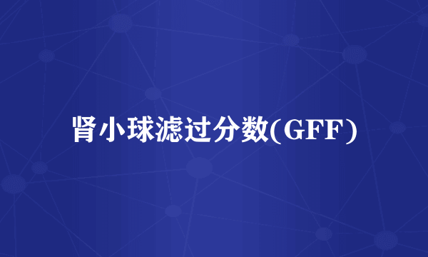 肾小球滤过分数(GFF)