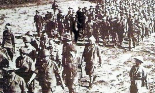 奠边府战役(越南抗法战争战役)