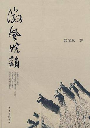 徽风皖韵(2009年东方出版中心出版的图书)