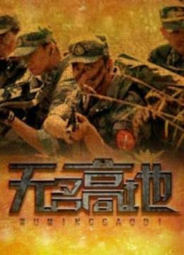 无名高地(2012年程东海执导的电视剧)