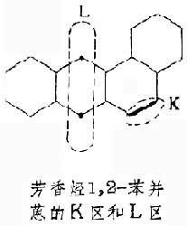量子生物学