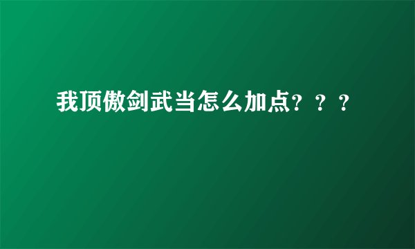 我顶傲剑武当怎么加点？？？