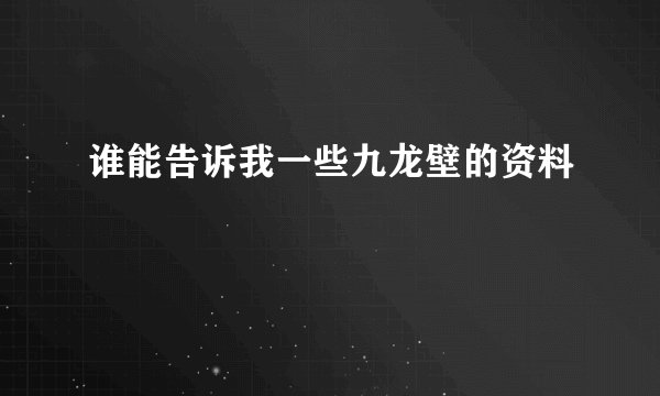 谁能告诉我一些九龙壁的资料