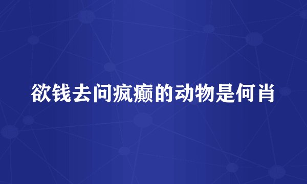 欲钱去问疯癫的动物是何肖