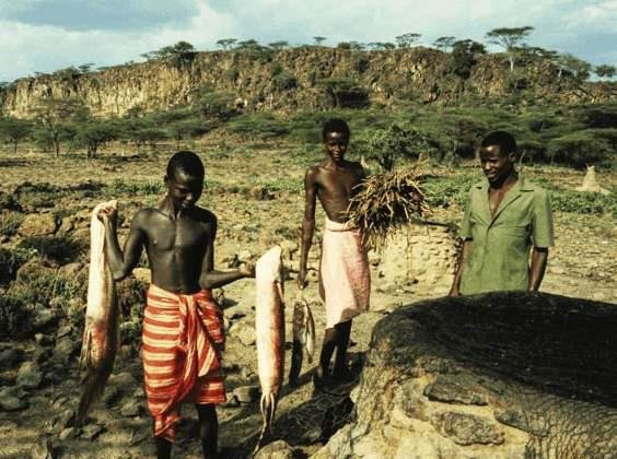 地球上生命力最顽强的5种生物中，生活在人类身边是哪个？