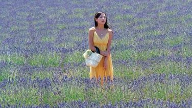 《又见一帘幽梦》大结局是什么?