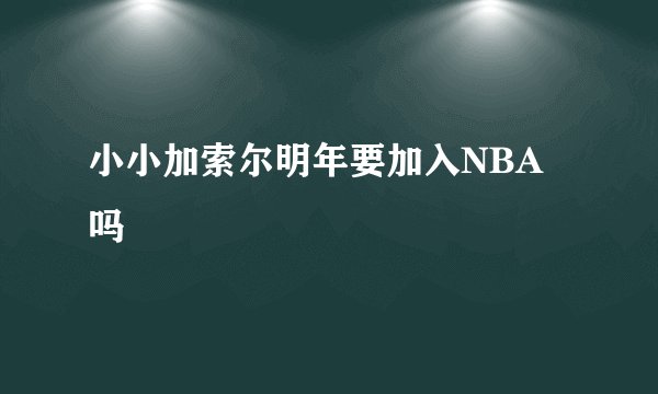 小小加索尔明年要加入NBA吗