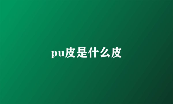 pu皮是什么皮