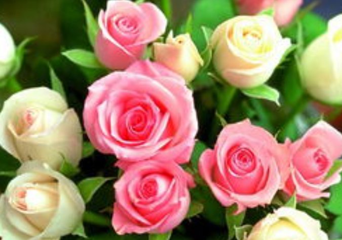 买一束鲜花大概需要多少钱？