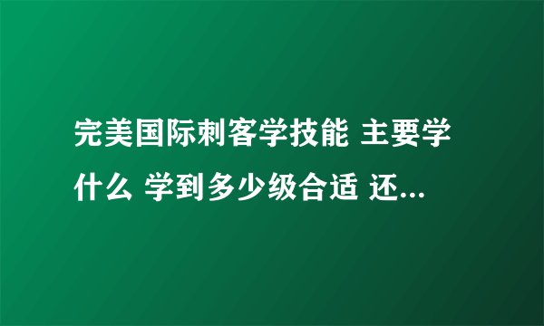 完美国际刺客学技能 主要学什么 学到多少级合适 还有加点详细解释 求大师