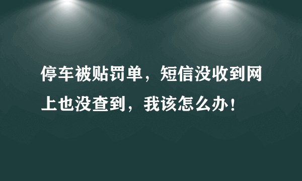 停车被贴罚单，短信没收到网上也没查到，我该怎么办！