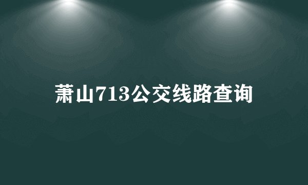 萧山713公交线路查询