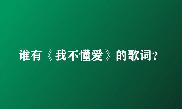 谁有《我不懂爱》的歌词？